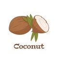 Fresh whole and a half coconut with green leaves . Vector illustration isolated on white background. Royalty Free Stock Photo