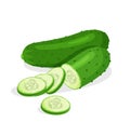 Fresh whole, half, cut slice and piece of cucumber isolated on white background.