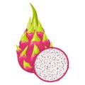 Fresh whole and half red pitaya fruits isolated on white background. Summer fruits for healthy lifestyle. Organic fruit. Cartoon Royalty Free Stock Photo