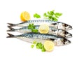 Fresh whole mackerel fish isolated on white background Royalty Free Stock Photo