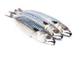 Fresh whole mackerel fish isolated on white background Royalty Free Stock Photo