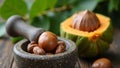 Fresh whole nutmeg on stone mortar with split nutmeg fruit and tree in background Royalty Free Stock Photo