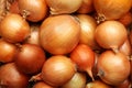 Fresh whole onions as background, top