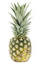 Fresh whole pineapple Royalty Free Stock Photo