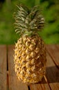 Fresh whole pineapple Royalty Free Stock Photo