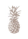 Fresh whole pineapple Royalty Free Stock Photo