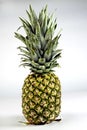 Fresh whole pineapple with great definition Royalty Free Stock Photo