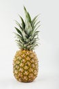 Fresh whole pineapple. Royalty Free Stock Photo