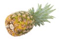 Fresh whole pineapple isolated on white background Royalty Free Stock Photo