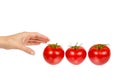 Fresh whole raw red tomato with green leaf and hand, isolated on white background Royalty Free Stock Photo