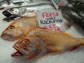 Fresh whole rockfish frozen on ice in a fish market Royalty Free Stock Photo