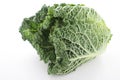 Fresh whole savoy cabbage