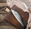 fresh whole sea bass fish on brown cutting board Royalty Free Stock Photo