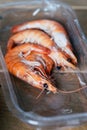 Fresh whole shrimps in a tray Royalty Free Stock Photo