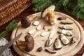 Pine boletes on a wooden cutting board - wild edible mushrooms