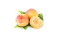 Fresh whole sweet apricot fruits with leaf and half, ripe fruit, isolated apricots, element for package design, on white