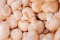 Fresh whole white button mushrooms, or agaricus, in a bowl on a rustic wooden counter ready to be cleaned and washed for dinner, Royalty Free Stock Photo