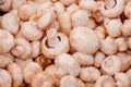 Fresh whole white button mushrooms, or agaricus, in a bowl on a rustic wooden counter ready to be cleaned and washed for dinner, Royalty Free Stock Photo