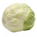Fresh Whole White Cabbage Vegetable Isolated on Transparent Background with Clipping Path Royalty Free Stock Photo