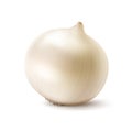 Fresh Whole White Onion Bulb Close up