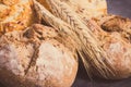 Wholegrain rolls with seeds and ears of rye or wheat grain. Vintage photo Royalty Free Stock Photo