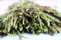 Fresh wild asparagus for background Royalty Free Stock Photo
