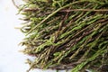 Fresh wild asparagus for background Royalty Free Stock Photo