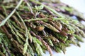 Fresh wild asparagus for background Royalty Free Stock Photo