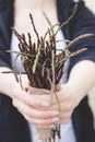 Fresh wild asparagus Royalty Free Stock Photo