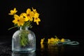 Fresh wild flowers in a glass vase on a dark table. Beautiful colorful flower bouquet Royalty Free Stock Photo