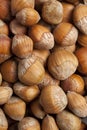 Fresh wild Hazelnuts full frame Royalty Free Stock Photo
