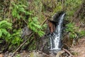 Fresh and wild landscape with waterfall among black rocks, moss and green leaves of ferns, LousÃÂ£ PORTUGAL Royalty Free Stock Photo