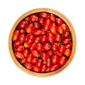 Fresh wild rose hips in a wooden bowl Royalty Free Stock Photo