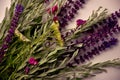 Fresh wildflowers. Romantic herb