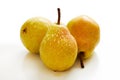 Fresh williams pears Royalty Free Stock Photo
