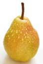 Fresh williams pears Royalty Free Stock Photo