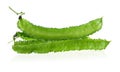 Fresh winged bean isolated on a white background