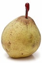 A fresh winter pear. Royalty Free Stock Photo