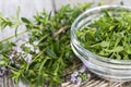 Fresh Winter Savory in a bowl Royalty Free Stock Photo