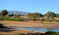 Nature reserve in gran canaria