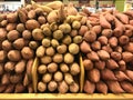 Fresh yams and sweet potatoes at supermarket Royalty Free Stock Photo