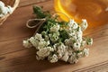 Fresh yarrow or Achillea millefolium flowers on a table