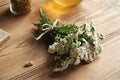 Fresh yarrow or Achillea millefolium flowers on a wooden table