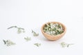 Fresh Yarrows flowers on the white background Royalty Free Stock Photo