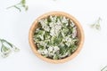 Fresh Yarrows flowers on the white background Royalty Free Stock Photo