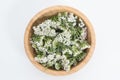 Fresh Yarrows flowers on the white background Royalty Free Stock Photo