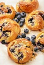 Fresh yeast buns with cheese and blueberries. Royalty Free Stock Photo