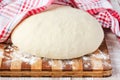 Fresh yeast dough