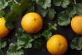 Fresh yelllow melons and plant vines on black background