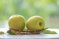 Fresh Yellow Apple in wooden basket, Golden yellow Ohrin Apple in the basket over green natural Blur background.